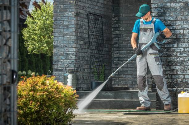 Best Soft Washing for Delicate Surfaces in Hoyt Lakes, MN